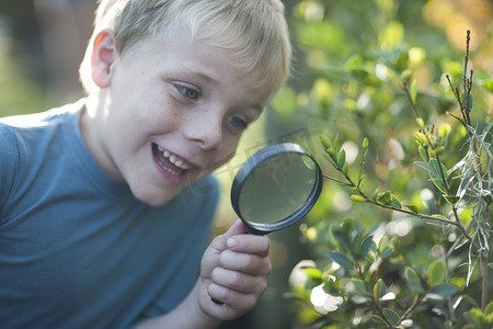放大镜种植摄影照片_男孩在花园里用放大镜发现植物
