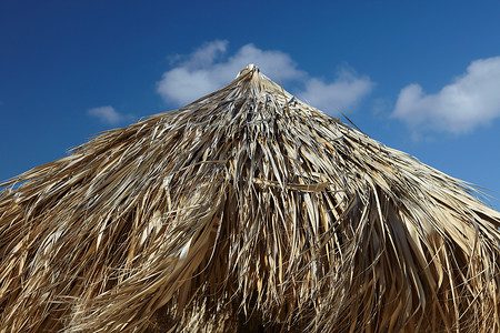 海滩伞摄影照片_棕榈叶海滩伞阿鲁巴加勒比海