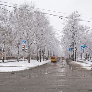 雪景绿树成荫的道路上有红绿灯和车辆