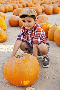 万圣节院子摄影照片_男孩在农家院子里挑选南瓜的肖像