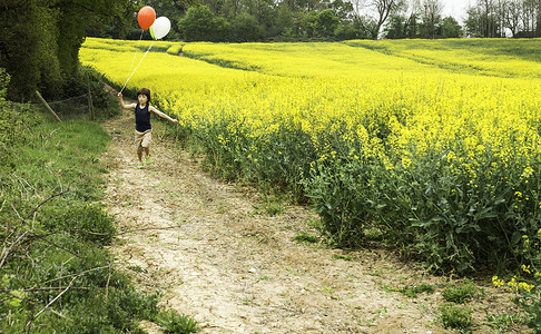 男孩沿着黄色花田跑道拉着红白相间的气球