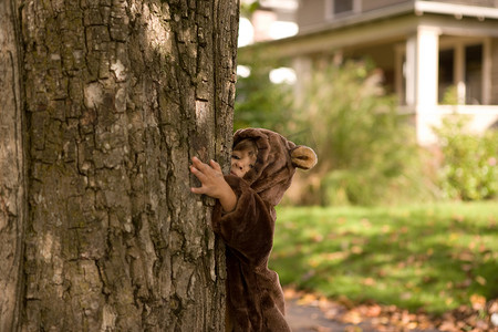 蹒跚学步的小女孩穿着熊装拥抱着树