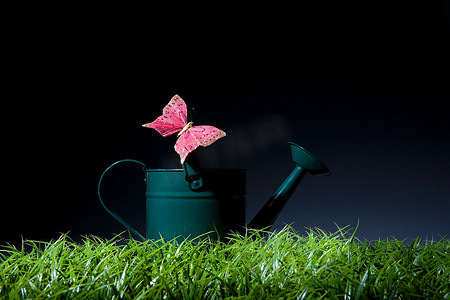 洒水壶上的粉色蝴蝶