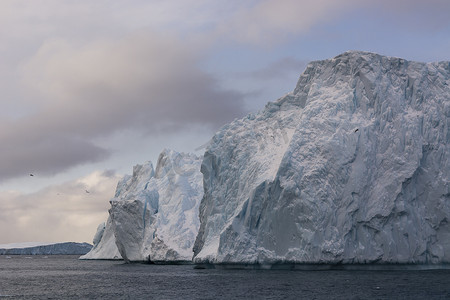 格陵兰岛迪斯科湾伊卢利萨特冰湾的冰山
