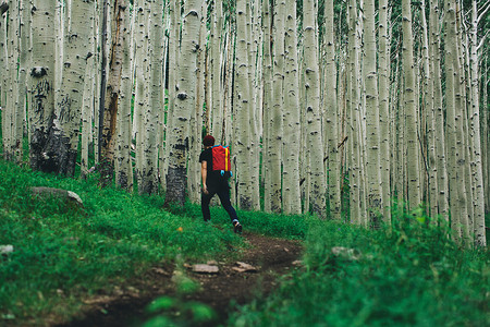 美国亚利桑那州洛基特牧场男性徒步穿越森林