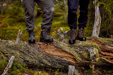 时光背景图摄影照片_徒步旅行者站在倒下的树上萨基通图里芬兰拉普兰