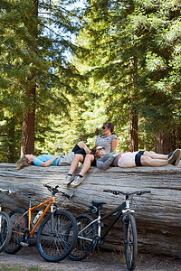 三名女山地自行车手在森林中的树干上放松