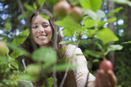一名年轻女子在花园里摘苹果