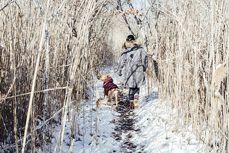 带着狗在雪地上散步的女人的全身后视