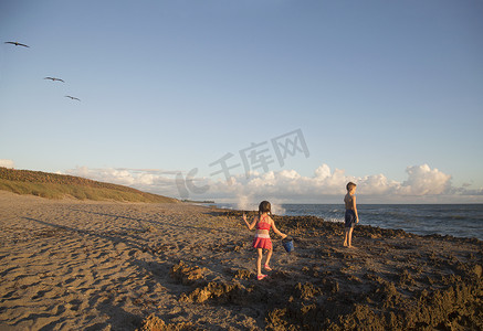 女孩和兄弟在海滩上玩耍美国佛罗里达州朱庇特岛吹石保护区