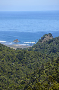 新西兰奥克兰的热带森林和海岸卡雷卡雷