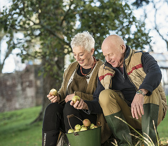 一对老夫妇在欣赏桶里的苹果