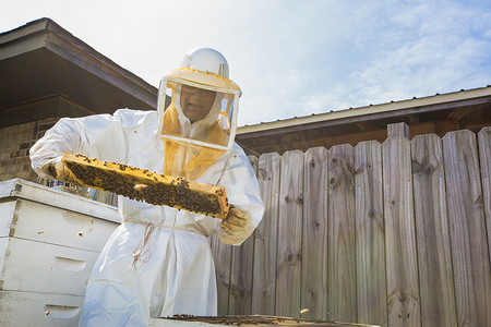 养蜂人从蜂箱上拆下框架