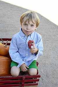坐在南瓜车里吃冰棒棒糖的微笑男孩的肖像