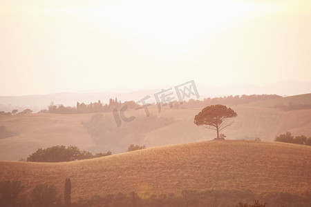意大利托斯卡纳乡村风景画