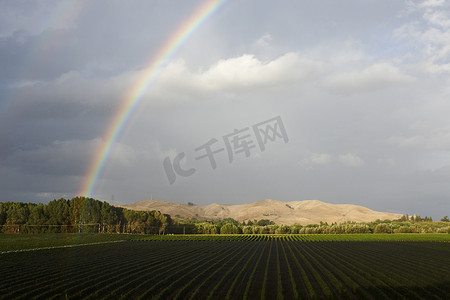 彩虹笼罩着田野景观新西兰奥克兰