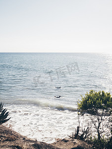 海上冲浪摄影照片_两名冲浪者在海上冲浪美国加利福尼亚州圣巴巴拉