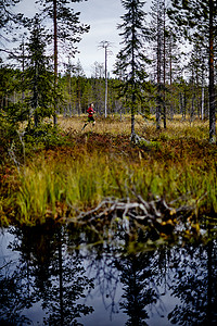 运动天赋摄影照片_芬兰拉普兰人类在森林中奔跑的小径