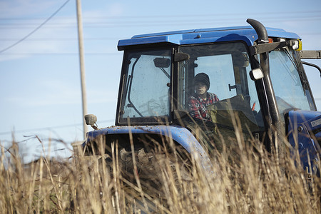 在奶牛场地里驾驶拖拉机的男孩农民