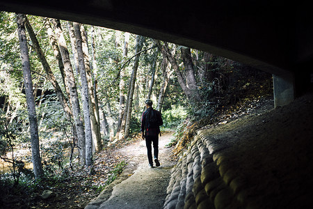 美国加利福尼亚州大苏尔人类行走在森林中的剪影后景