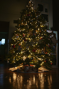 圣诞摄影照片_夜间室内圣诞树
