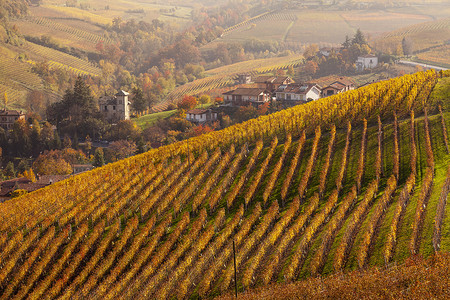 意大利山麓浪河秋季葡萄园和村庄的俯瞰