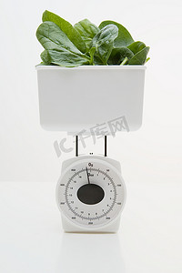 体重测量摄影照片_称体重的菠菜