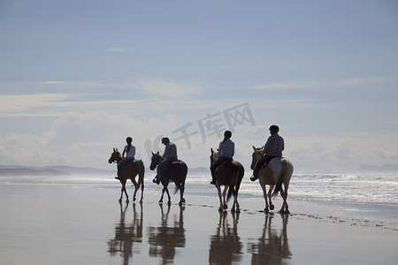 骑马帕基里海滩新西兰奥克兰