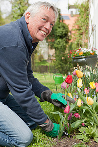 一位老人在后院切花