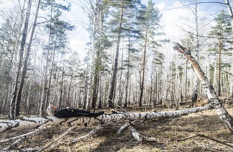 年轻的女徒步旅行者躺在森林里倒下的树上