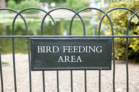 伦敦圣詹姆斯公园的鸟类喂食区