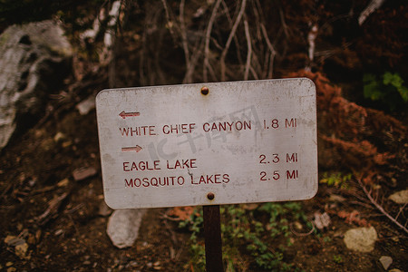 方向标志特写矿泉王红杉国家公园加利福尼亚州美国
