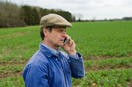 戴着平帽的农民用智能手机在田里聊天