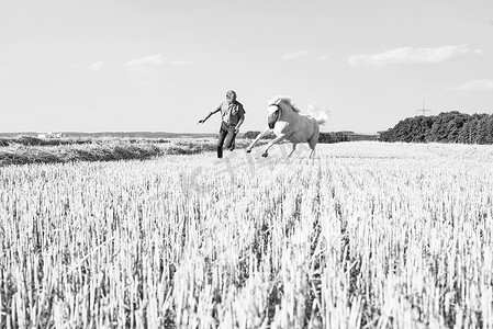 黑白动物摄影照片_田野里训练奔马的人的黑白图像