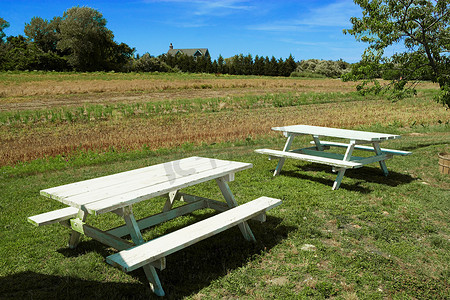 长岛蒙托克田野野餐桌