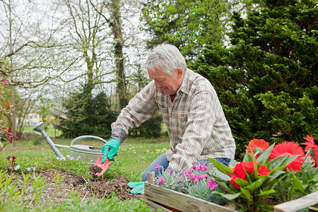 一位老人在后院种花