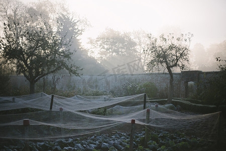 产品背景大气摄影照片_雾蒙蒙的早晨笼罩在有围墙的菜园里的蚊帐