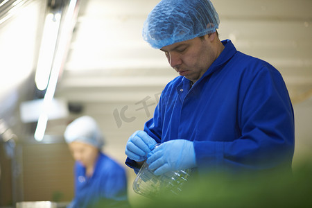 上卫生间摄影照片_生产线上的工人戴着发网和乳胶手套包装蔬菜