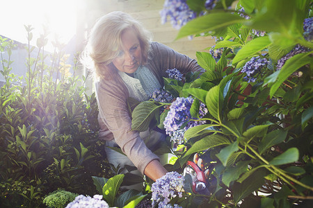 成熟的女人跪在花园里采花