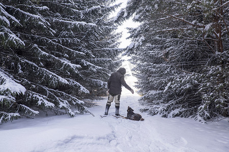 俄罗斯乌拉尔白雪覆盖的森林中的人和听话的狗的背影