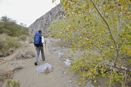 徒步旅行者探索沙漠红木峡谷死亡谷国家公园加利福尼亚州
