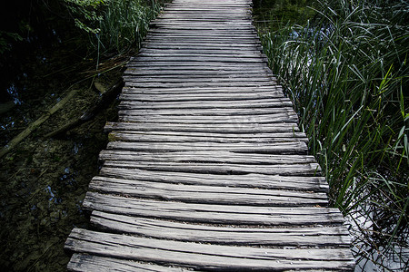 克罗地亚普利特维斯湖国家公园芦苇质朴的木桥