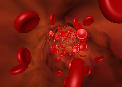 显示血管中红细胞流动的3图