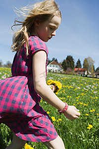 女孩在田野里采摘野花