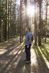 站在阳光明媚的森林里的资深男性徒步旅行者加拿大艾伯塔省坎莫尔