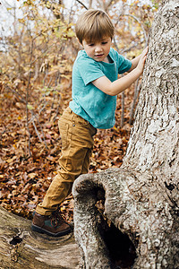 森林中的桥摄影照片_森林里的小男孩爬树