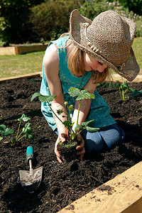 农用地摄影照片_种植草莓的年轻女孩