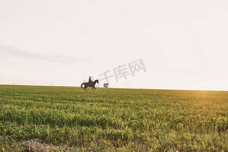 在田野里骑马的女人的远景
