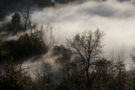 山前浪河光秃秃的树木上的薄雾正在消散意大利
