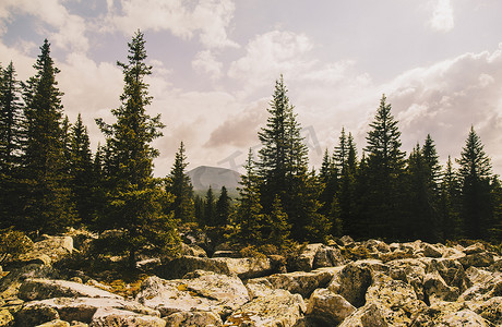 追逐摄影照片_俄罗斯乌拉尔山脉岩石森林和远处的山脉